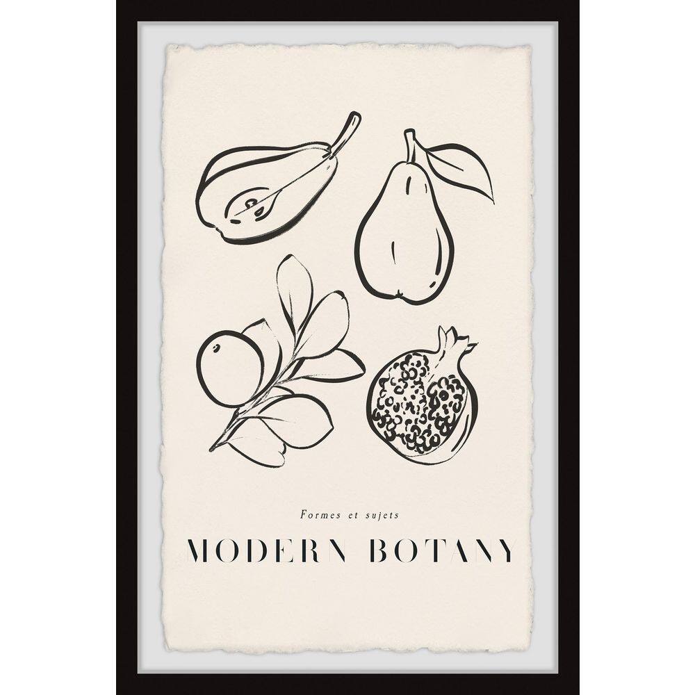 "Modern Botany" by Marmont Hill Framed Food Art Print 24 in. x 16 in. CMMFLP49BFPFL24 The Home