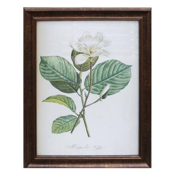 Home Decorators Collection Antiqued Bronze Framed Acrylic Painting White Flower Wall Art 28 in. H x 22 in. W