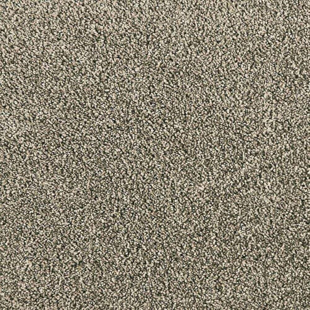8 in. x 8 in. Texture Carpet Sample-Whisk & Whimsy I-Color Tropical Storm price history on PriceWatchPro