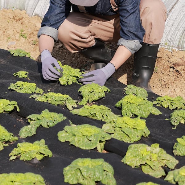 Non Woven Geotextile Fabric Under Gravel, 10 x 100 ft. 8 oz. Driveway Fabric Landscape Fabric, Heavy Duty Weed