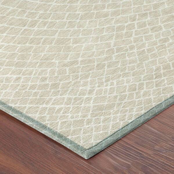 Chantille Machine Washable Indoor/Outdoor Abstract ACN2455 Beige 3 ft. x 5 ft. Area Rug