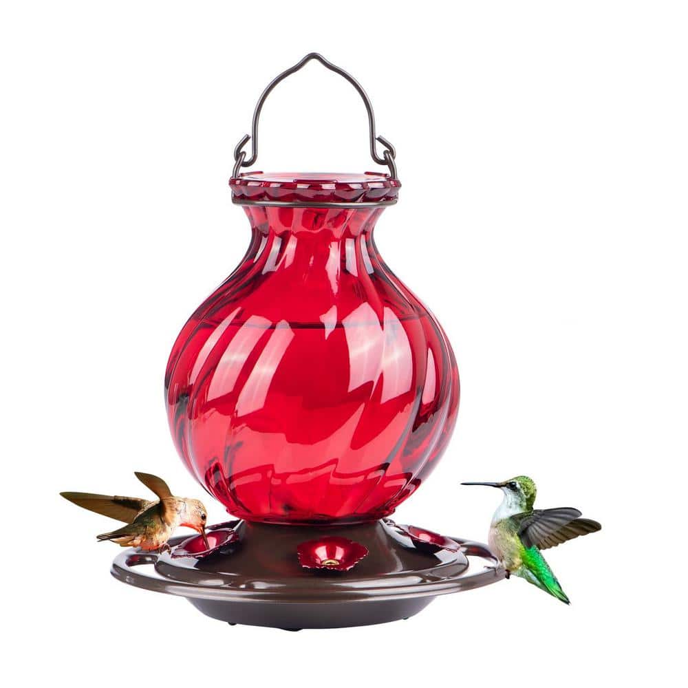 26 oz. Red Glass Hummingbird Feeder 1.62 lbs. Ant and Bee Proof with 5 Flow