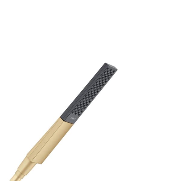 Rainfinity 1-Spray Patterns Wall Mount Handheld Shower Head 1.75 GPM in Brushed Gold Optic