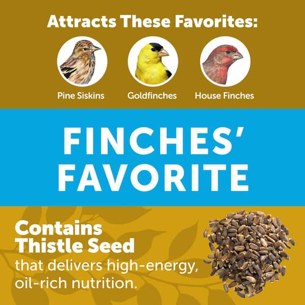 Premium 10 lb. Thistle Nyjer Bird Seed Food for Finches and Other Wild Birds