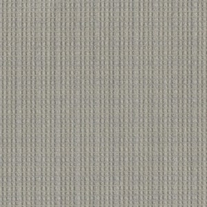 Rosedale - Geddy - Gray 45 oz. TwistX SD PET Loop Installed Carpet