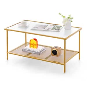 35.5 in. Golden Rectangle Glass Coffee Table with 1 Pieces