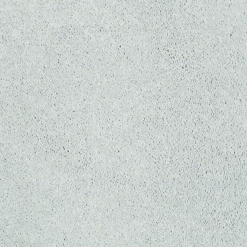 8 in. x 8 in. Texture Carpet Sample - Brave Soul I - Color Sterling price history on PriceWatchPro