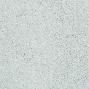 Brave Soul I - Sterling - Gray 34.7 oz. Polyester Texture Installed Carpet