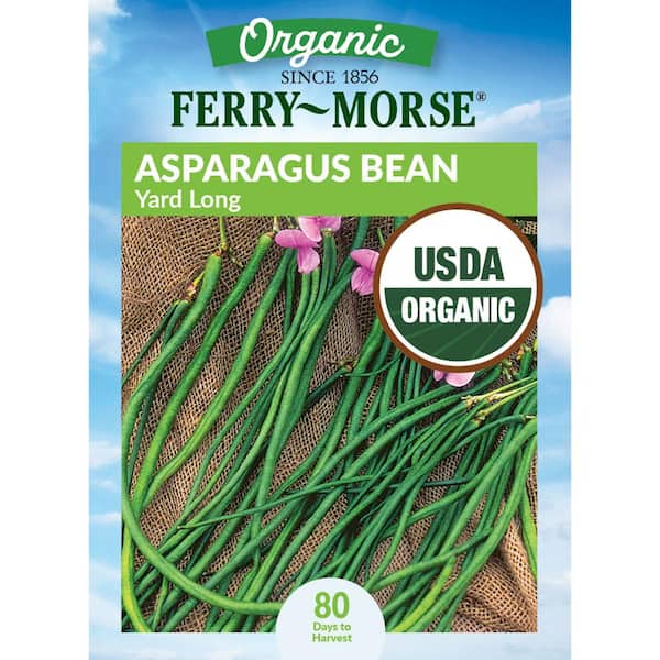 Organic Asparagus Beans Bush Yard Long Fruit Seeds