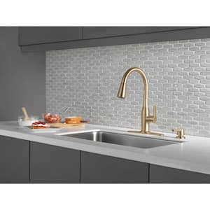 Marca Single-Handle Pull-Down Sprayer Kitchen Faucet with ShieldSpray Technology in Champagne Bronze