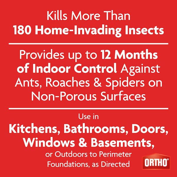Bug B-gon Insect Killer for Indoor Plus Perimeter1, 1 gal. Ant, Cockroach and Spider Insect Killer