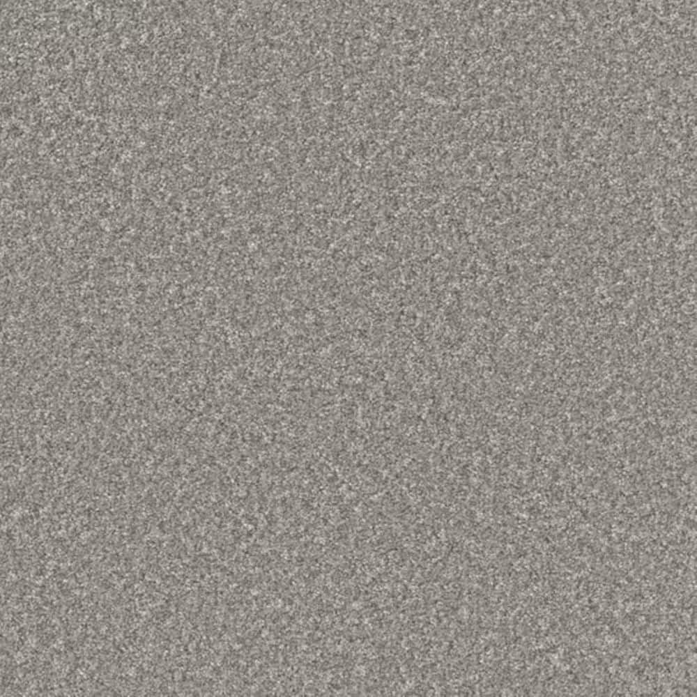 8 in. x 8 in. Texture Carpet Sample-Gentle Glimmer II-Color Twinkle price history on PriceWatchPro