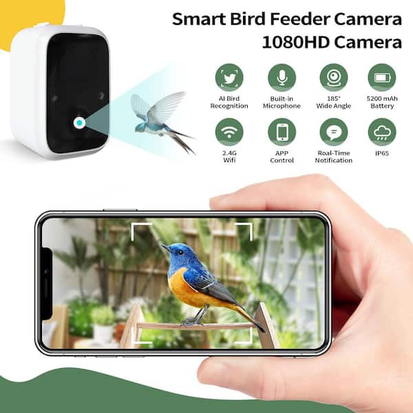 Wooden Wild Smart Bird Feeder with Camera 1080P HD Solar Powered AI Identify Seed Feeder