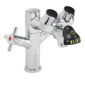 Eyesaver Eye Wash Faucet Combination Single Post Laboratory Faucet in Polished Chrome