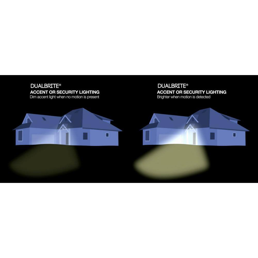 Black Octagonal Motion-Activated DualBrite Outdoor Ceiling Light