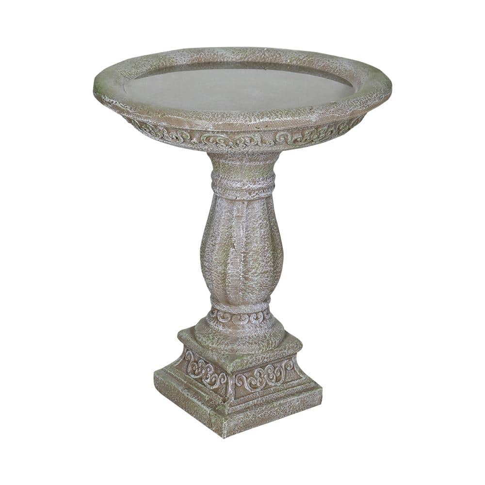 Bird Bath