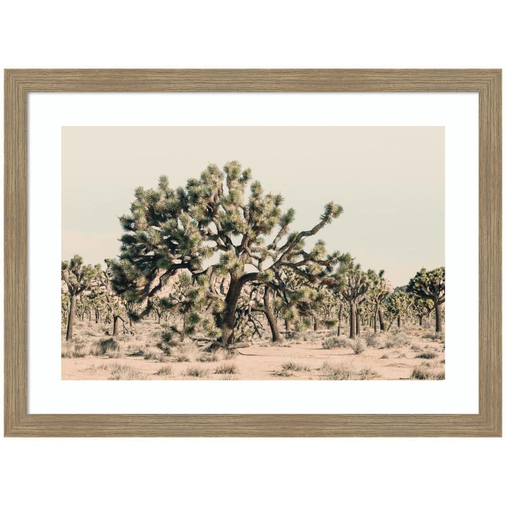 "Woodgrain ""Joshua Tree No. 1"" by Alicia Bock Landscape Framed Art Print 19 in. x 26 in." price history on PriceWatchPro