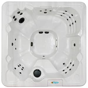 Palmero NL 8-Person 40-Stainless Steel Jet Standard Hot Tub Ozonator LED Light Polar Insulation, Neck Jets and Hardcover