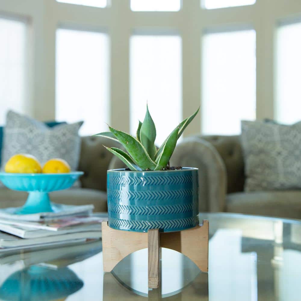 Mayan Teal Glass 6'' Ceramic Planter on Wooden Stand