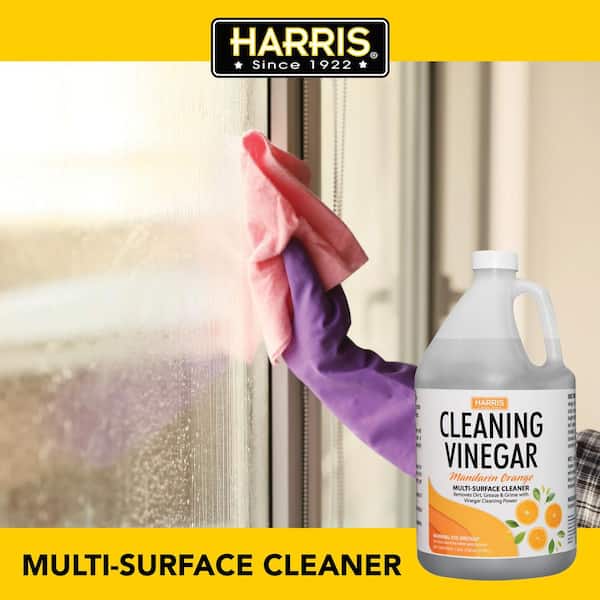 https://images.thdstatic.com/productImages/8e994ebc-a769-46ee-b66b-fe8ca4c91e60/svn/harris-all-purpose-cleaners-2ovine128-pro32-44_600.jpg