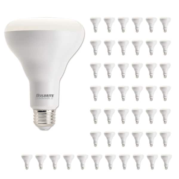 Bulbrite 65-Watt Equivalent BR30 Medium Screw LED Light Bulb Warm White Light 2700K (48-Pack)