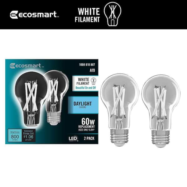 60-Watt Equivalent A19 E26 Base Dimmable White Filament CEC Clear Glass LED Light Bulb, Daylight 5000K (2-Pack)