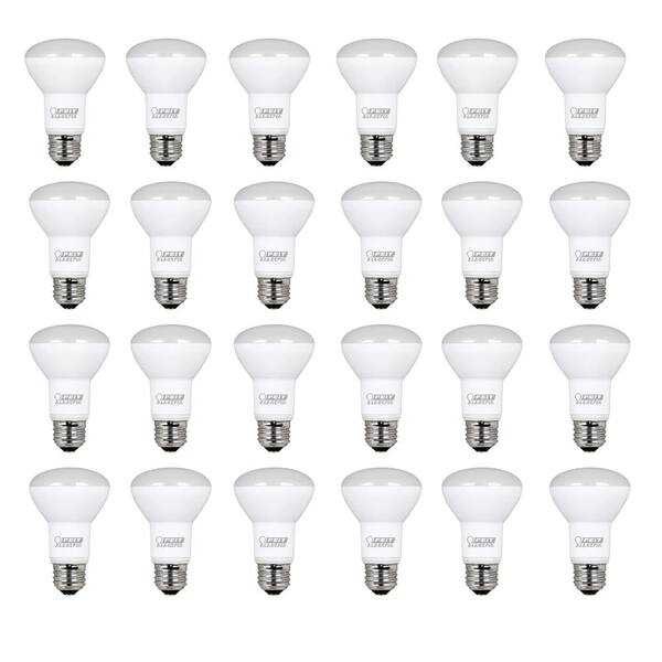 Feit Electric 45W Equivalent Soft White R20 Dimmable LED Light Bulb Maintenance Pack (24-Pack)