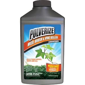 Weed, Brush and Vine Killer, 32 oz. Concentrate