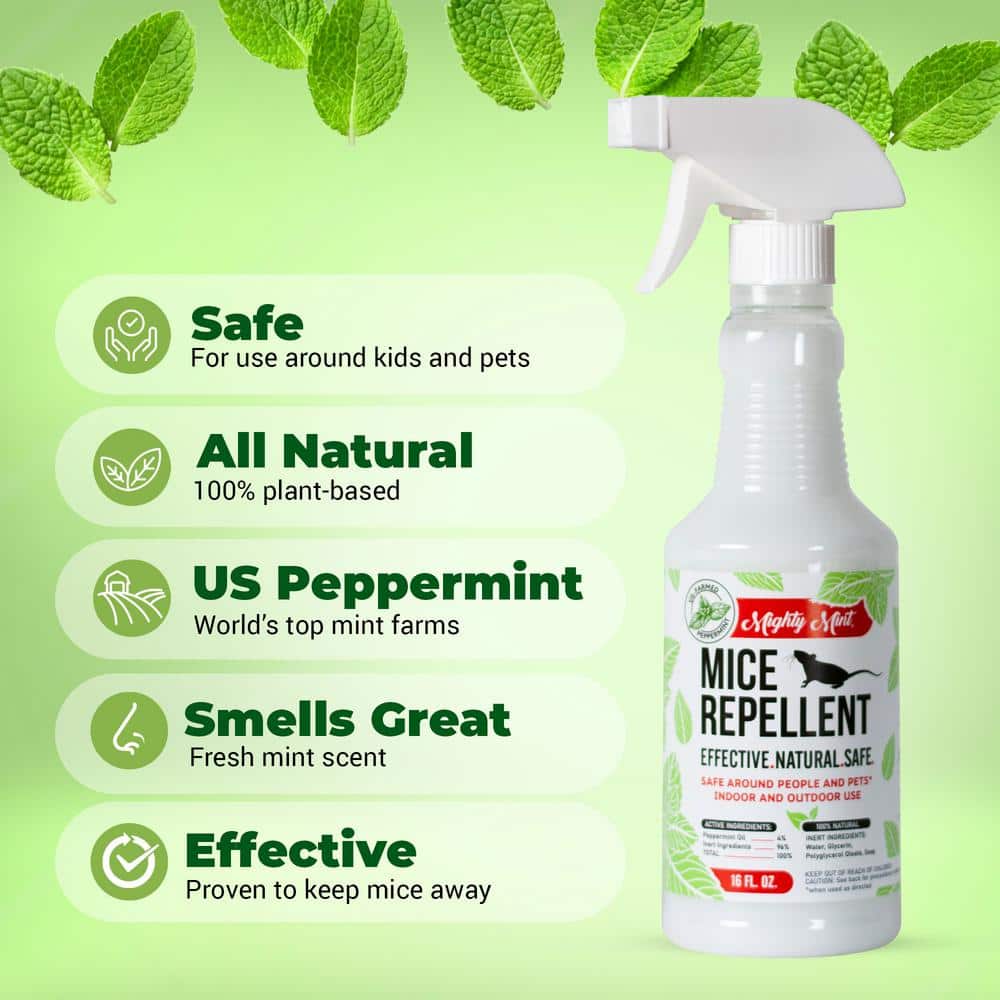 Buy 16 oz. Peppermint Oil Mice Repellent Spray Non Toxic Online at