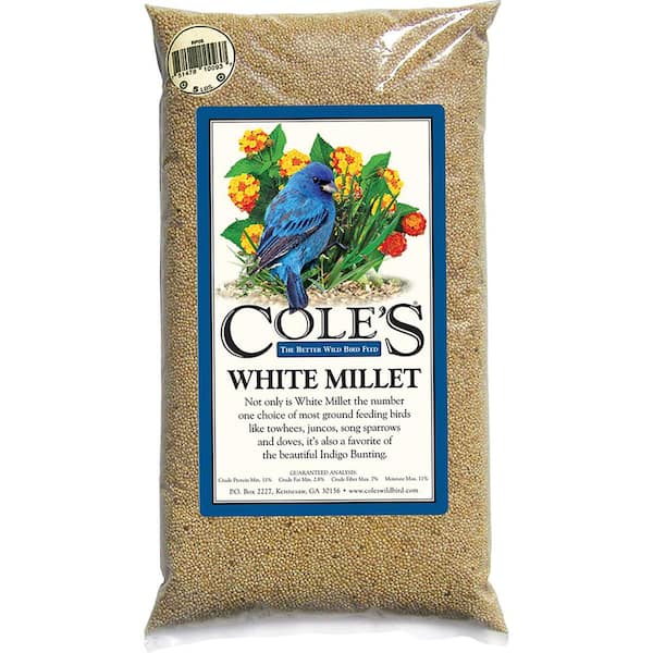 Unbranded 20 lb. Assorted Species White Millet Wild Bird Food
