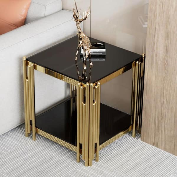 20 in. Black Square Glass Coffee Table with Tempered Glass and Stainless Steel Legs, 2-Tier Center Table for Living Room