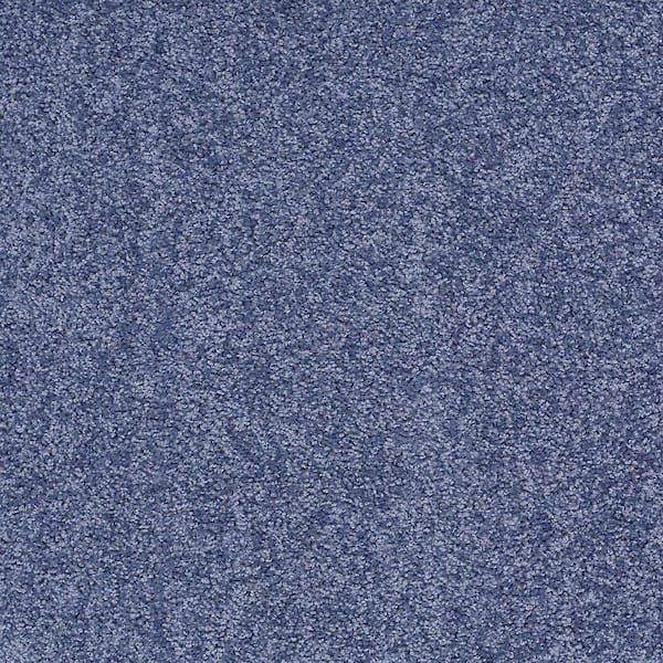 TrafficMaster 8 in. x 8 in. Texture Carpet Sample - Palmdale I - Color Serenity