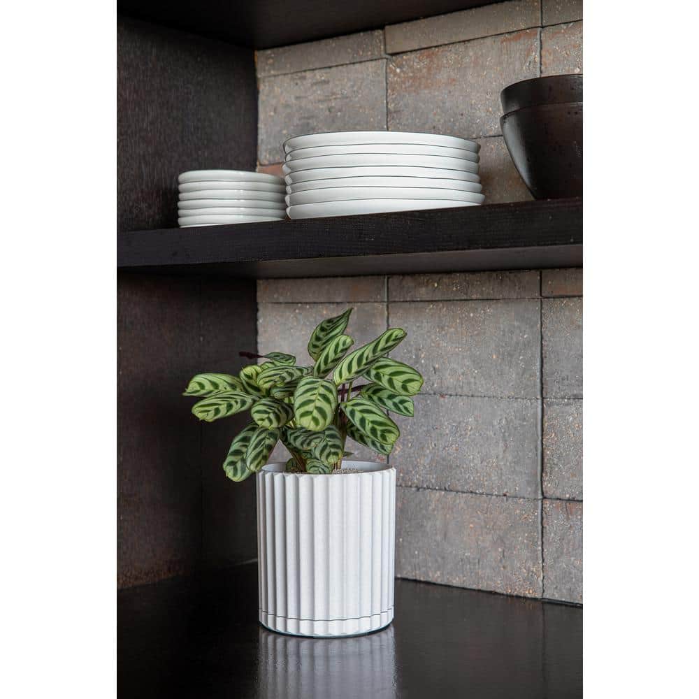 White 6" Plastic-Stone Composite Fluted Planter