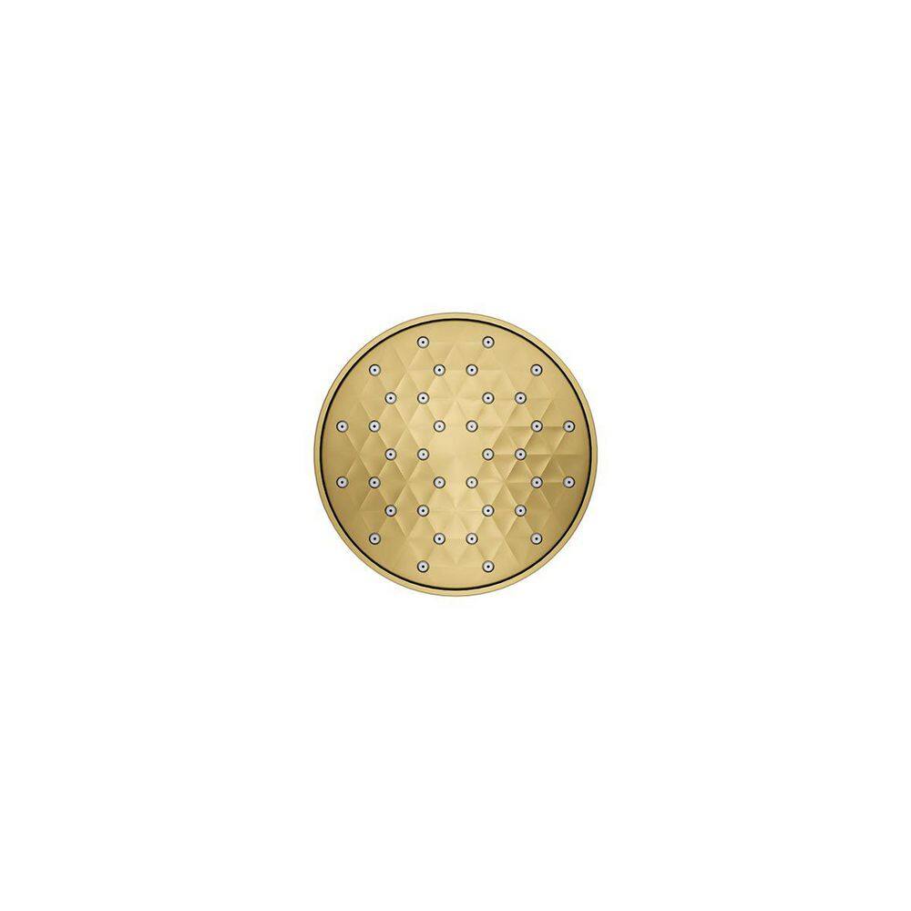 Vibrant Brushed Moderne Brass Wall Mounted Showerhead