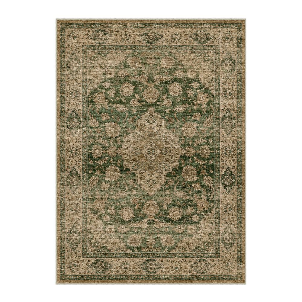 Goodberg 5 ft. X 7 ft. Green Vintage Medallion Distressed Area Rug price history on PriceWatchPro