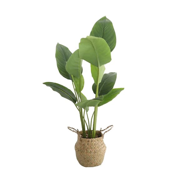 30 in. H Artificial Travelers Palm in Basket
