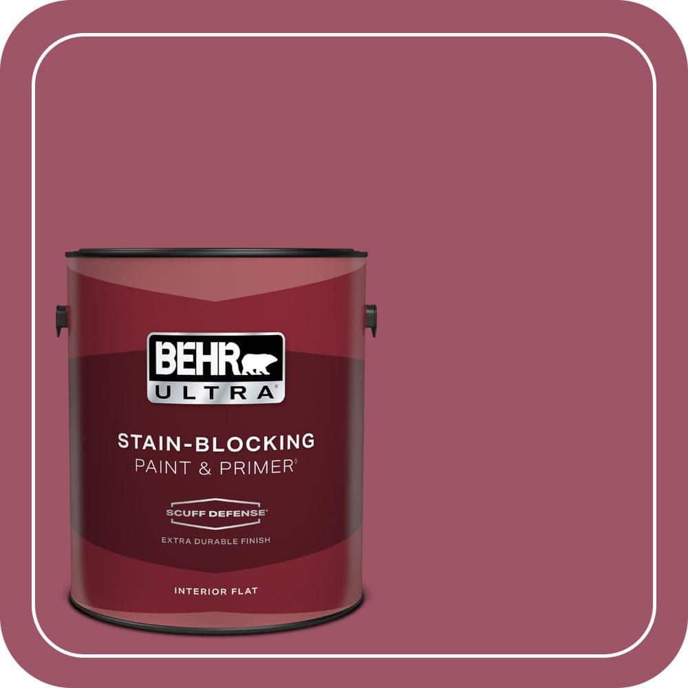 1 gal. #110D-5 Mission Wildflower Extra Durable Flat Interior Paint & Primer price history on PriceWatchPro