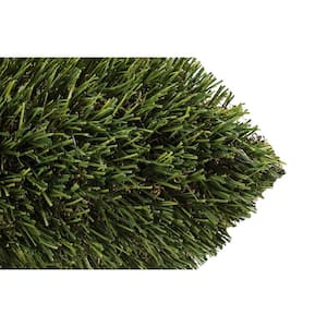 Nuevo 15 ft. W x Cut to Length Field Green Artificial Grass Carpet