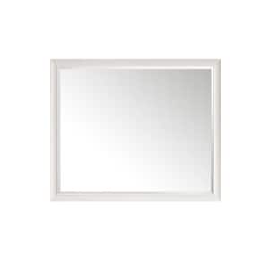 Glenbrook 48.0 in. W x 40.0 in. H Rectangular Framed Wall Mount Bathroom Vanity Mirror in Bright White