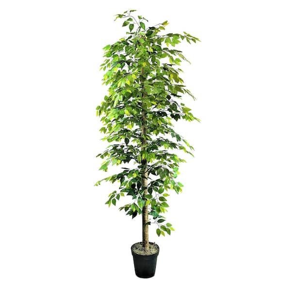 Unbranded 10 ft. Artificial Ficus Tree in Growers Pot