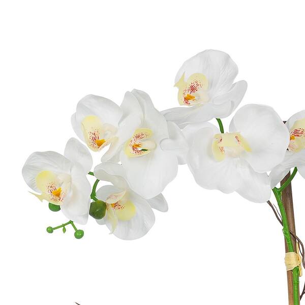 Vanity Art 23. 23 in. H Artificial Phalaenopsis Orchid Floral Arrangement in Decorative Cement in Pot