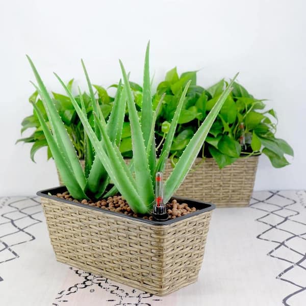 Self-Watering Wicker Planter Garden Decoration Pot, Beige (2-Pack)