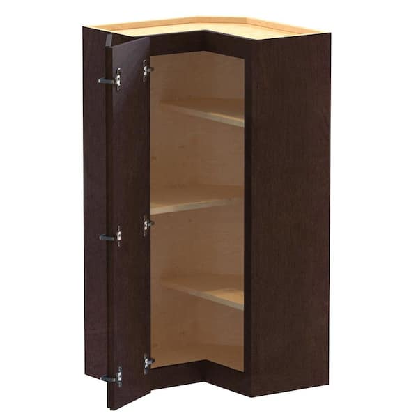 Home Decorators Collection Newport 21 in. W x 12 in. D x 42 in. H Assembled Plywood Corner Wall Kitchen Cabinet in Manganite with Shelves