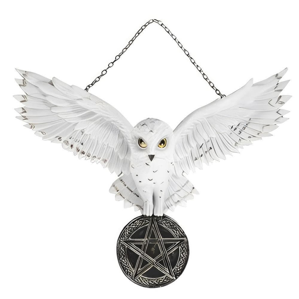 10.5 in. W Snow Owl Wall Decor price history on PriceWatchPro