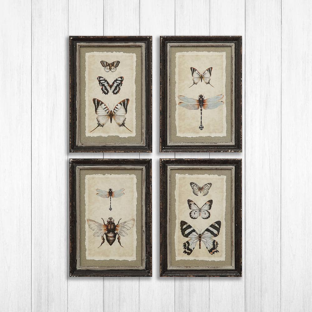 Wood Framed Vintage Insect Prints Set of 4
