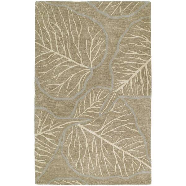 Kaleen Astronomy Newton Chocolate 5 ft. x 8 ft. Area Rug