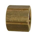 JONES STEPHENS 2 in. Brass Countersunk Heavy Pattern Cleanout Plug 2-3/ ...