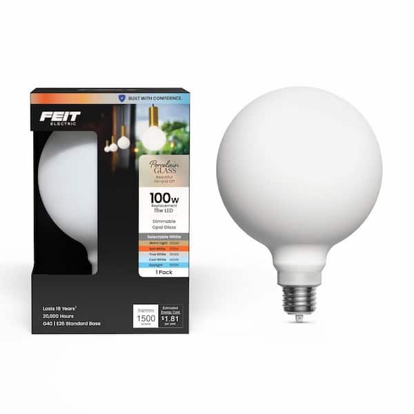 100-Watt Equivalent G40 Globe Dimmable Straight Filament Frosted E26 Vintage Edison LED Light Bulb, Selectable White
