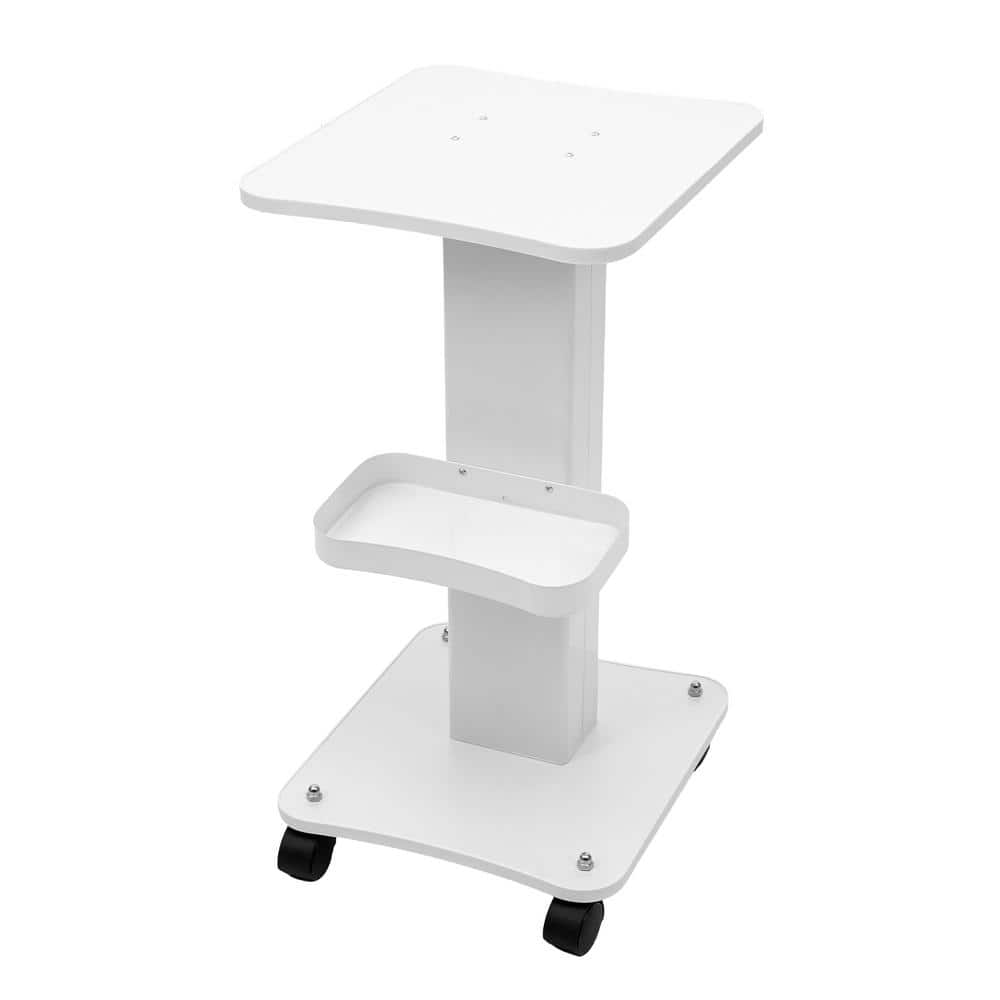 YIYIBYUS Metal ABS Salon Spa Equipment Beauty Trolley Rolling Cart