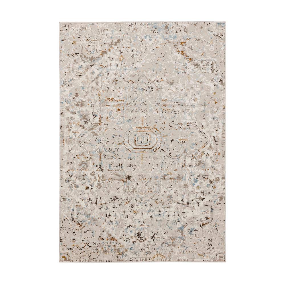 Damon Grey 6 ft. x 9 ft. Traditional Floral Medallion Area Rug price history on PriceWatchPro